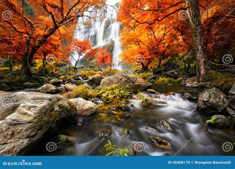 Waterfall In The Autumn Stock Photo Image Of Green Mountain 46408178