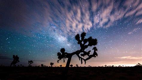 Landscape Night Sky And Clouds At Joshua Tree National Park