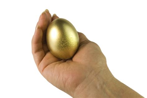 5 Ways To Find Your Golden Egg Job And Company Jsg