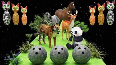 Bowling Ball Adventure For Kids Animal With Bowling Pins Learn