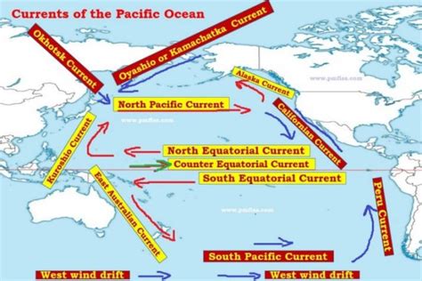 Pacific Ocean Currents Phytoplankton And Fishing Pmf Ias