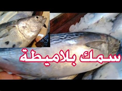 سمك بدون راس يوجد في فلسطين.كيف نزيل قشور السمك الارجنتيني ونتبل السمك.تتبيلة السمك بطريقة سهلة.ارجنتيني طريقة تنظيف السمك طريقة تنظيف سمك البلاميطه إذا عجبتك الوصفة يرجى الضغط علي like و subscribe الإشتراك في القناة. وجبه تكفي عائله سمك البلاميطة بتاع بحر الأسكندرية موجود في سوق الأنصاري بالسويس - YouTube