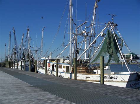 Make The Most Of A Fishing Trip To Apalachicola Florida—heres Where