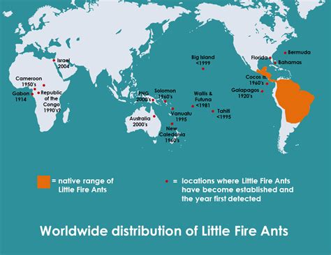 Origin And Distribution Of Little Fire Ants Hawaii Ant Lab Hawaii