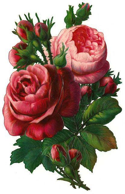 Vintage Rose Clip Art Vintage Rose Decoupage Free Vintage Printables