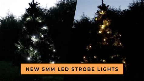 New 5mm Led Strobe Lights Led Strobing Christmas Lights Youtube