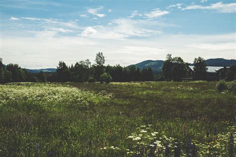 Check spelling or type a new query. Julia - alltid mitt i prick - Midsommarfirande i Västansjö