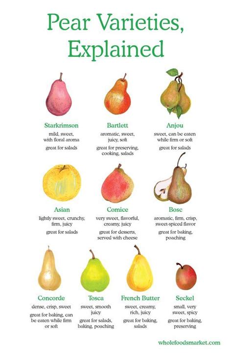 Pear Varieties Chart