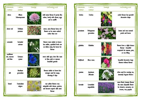 Maybe you would like to learn more about one of these? Really good site and these charts on edible flowers ...