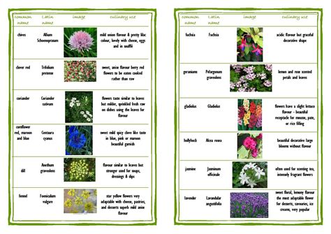 Outside the list below, you are on your own. Really good site and these charts on edible flowers ...