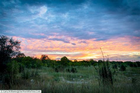 Evening Safari Drive Tree Lodge At Sikumi Hwange Zimbabwe Our