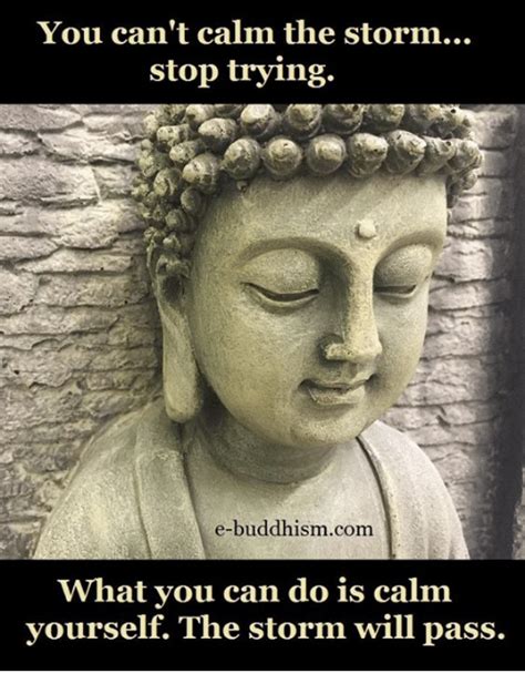 You Cant Calm The Storm Stop Trying E Buddhism Com What You Can Do Is