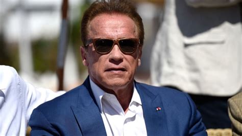 Viral Video Shows Arnold Schwarzenegger Drop Kicked While Greeting Fans