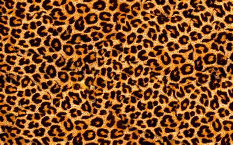 Descargar Fondos De Pantalla Leopardo De La Textura De La Piel 4k Macro Marrón Manchas De