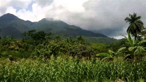 Beautiful African Landscape From Cameroon Forest Mountain Trees