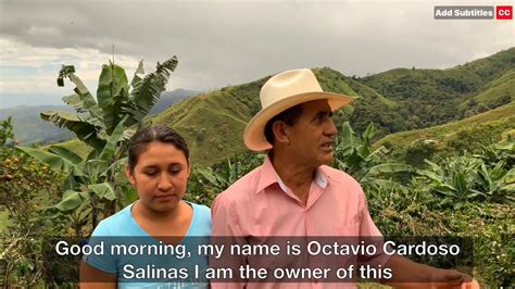 These brands offer some of the best colombian coffee on the market Colombian Coffee Grower - YouTube