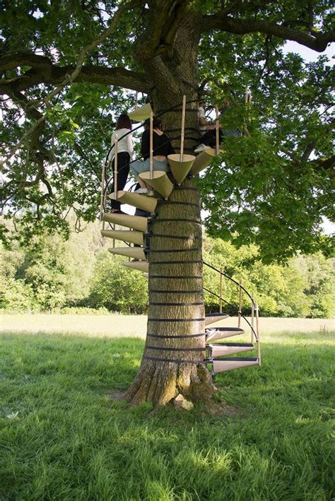 This Spiral Staircase For Your Treehouse Requires Zero Tools Tree