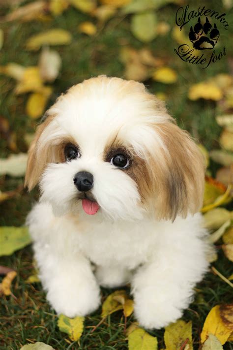 Realistic Puppy Shih Tzu Boss Dog Ooak Collectible Teddy Dog Etsy