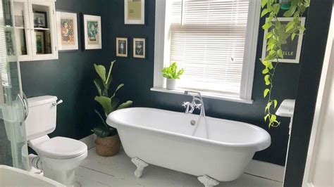 The 10 Best Bathroom Plants That Thrive In High Humidity Areas