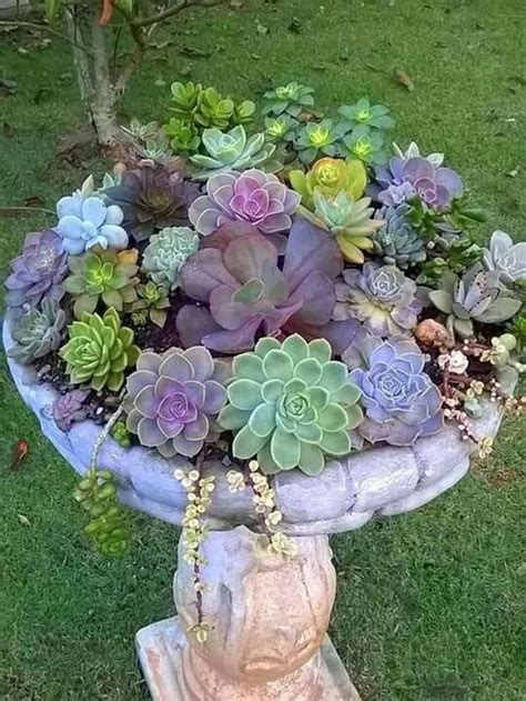 40 Amazing Succulents Garden Decor Ideas With Images Container