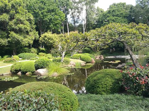 The Japanese Garden Brisbane Botanical Gardens Mt Coot Tha