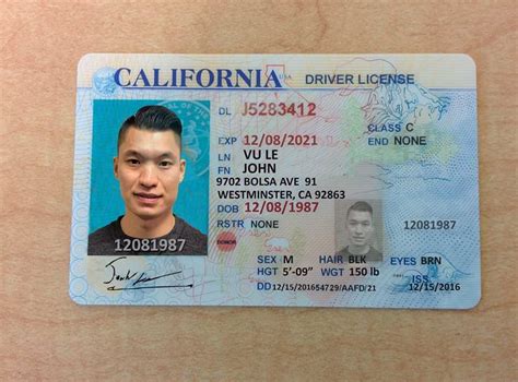 24 California Identification Card Template Free Popular Templates Design