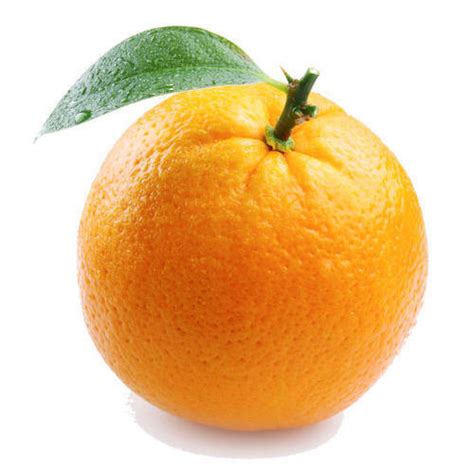 Fresh Orange At Rs 40kilogram संतरे In Vellore Id 15193960973