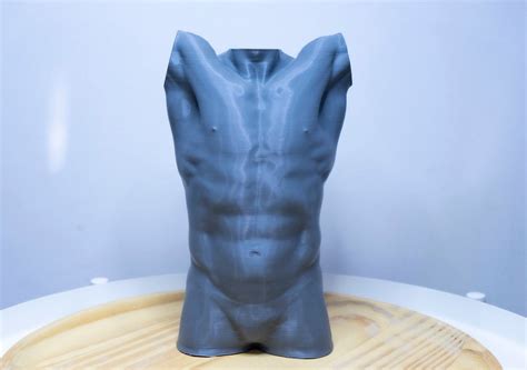 Male Torso Anatomy Reference Sculpture Statue 3d Print Etsy Australia
