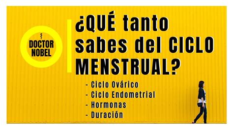 El Ciclo Menstrual Desde El DÍa 1 Al 28 Todo Lo Que Debes Saber