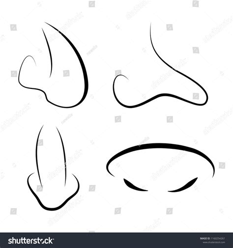 Human Nose Outline Design Isolated On Stock Vector Royalty Free 1160254261