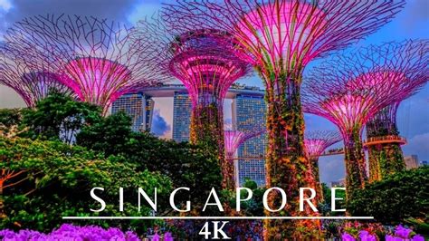 Singapore 4k Night 🇸🇬 Gardens By The Bay Youtube