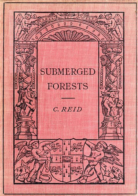 Submerged Forests Project Gutenberg