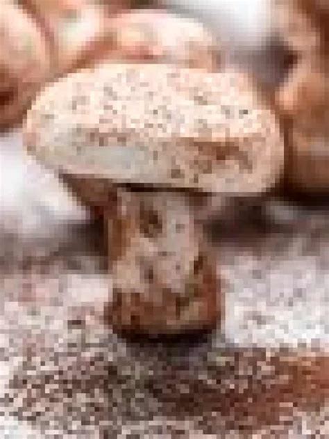 Meringue Mushrooms Story The Seaside Baker