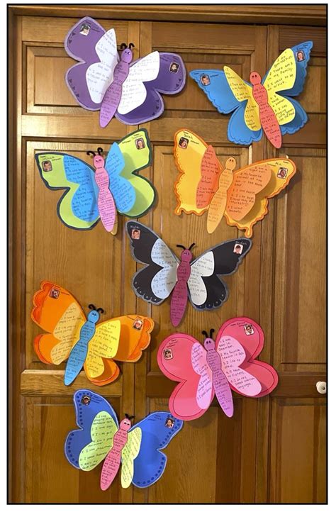 Butterfly Craft Butterfly Activities Venn Diagrams Comparison Contrast