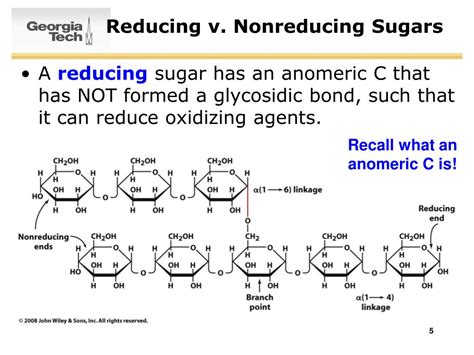 Ppt Survey Of Biochemistry Glycogen Powerpoint Presentation Free