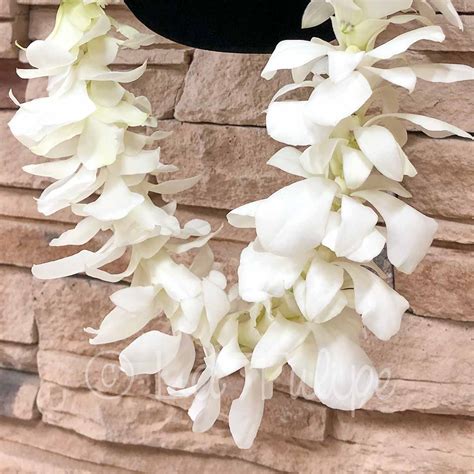 Double White Dendrobium Orchid Hawaiian Lei La Tulipe Floral Designs