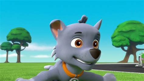 Watch Paw Patrol Ultimate Rescue Pups Save A Swamp Creature Ultimate