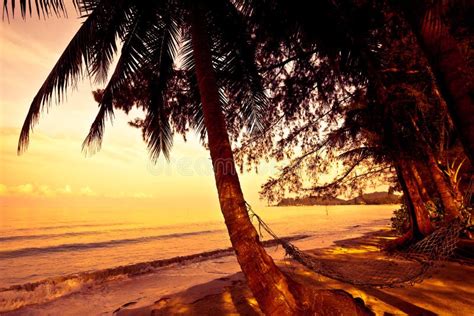 Hammock Silhouette With Palm Trees On A Beautiful At Sunset Stock Image