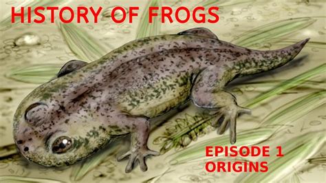 History Of Frogs 1 Origins Youtube