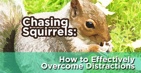 Chasing Squirrels How To Effectively Overcome Distractions