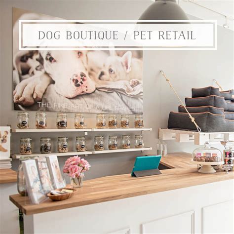 Pet Boutique Working With Dog