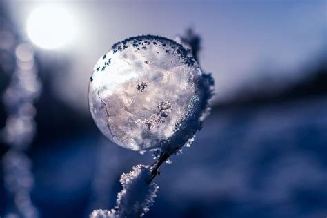 4230x3096 Winter Bubble Ice Fun Macro Free Pictures Frozen