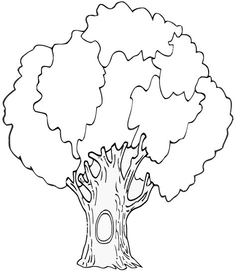 Kolorowanka Drzewo Z Dziuplą Do Druku I Online