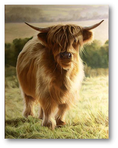 Jennifer Gray Art Cow Highland Cow Cute Cows