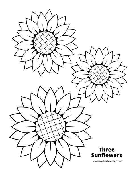 Learning About Sunflowers With Your Kids These Printable Sunflowers