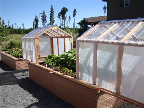Greenhouse Over Raised Beds Mini Greenhouses Or Raised Beds Both