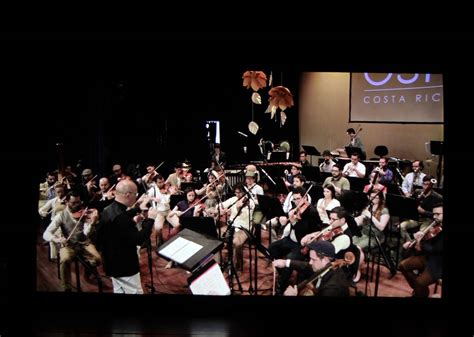 ¿qué Hacer Este Fin De Semana Concierto De La Orquesta Sinfónica De