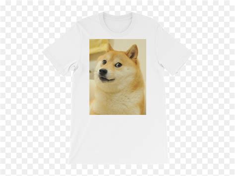It might be a funny scene, movie quote, animation, meme or a mashup of multiple. Baby Doge Meme Png - cutedoggalery