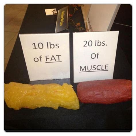 What 10 Pounds Of Fat Looks Like Vs 20 Pounds Of Muscle Dance
