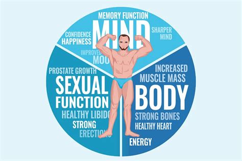 Natural Hormone Replacement For Men Lifeworks Wellness Center